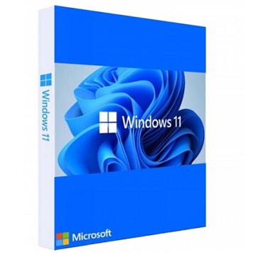 Licenta OEM Microsoft Windows 11 Pro 64 bit Romanian